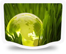 SUSTAINABILITY.png